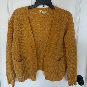 sky and sparrow sweater (from Tillys)